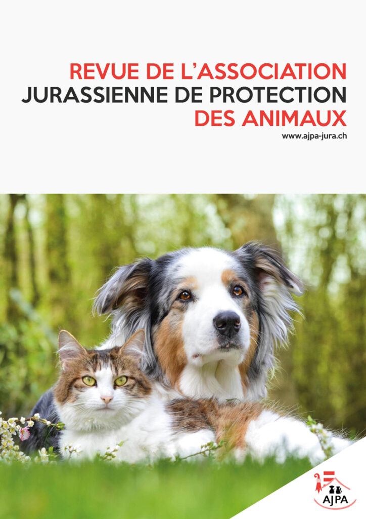 brochure asso AJPA